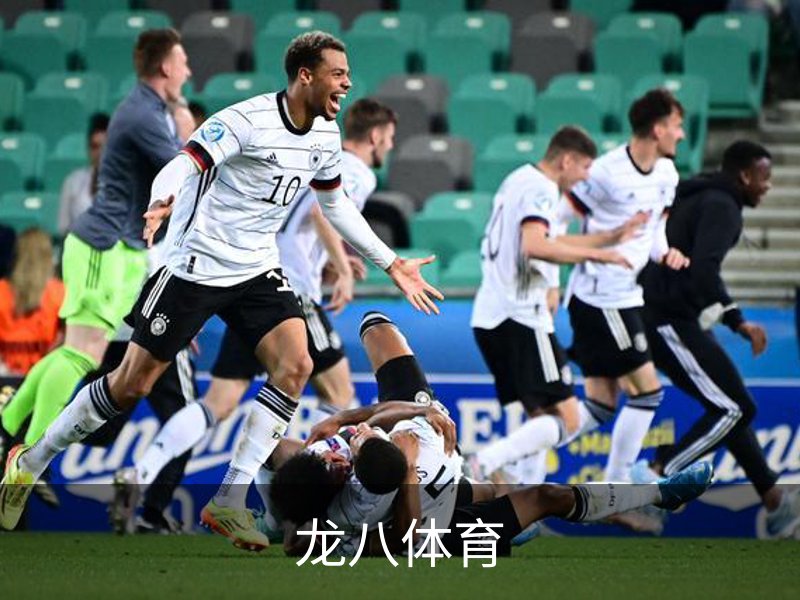 龙八体育简介